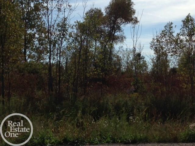 2959 Springborn Road East China, MI 48054 - Photo 3 of 11