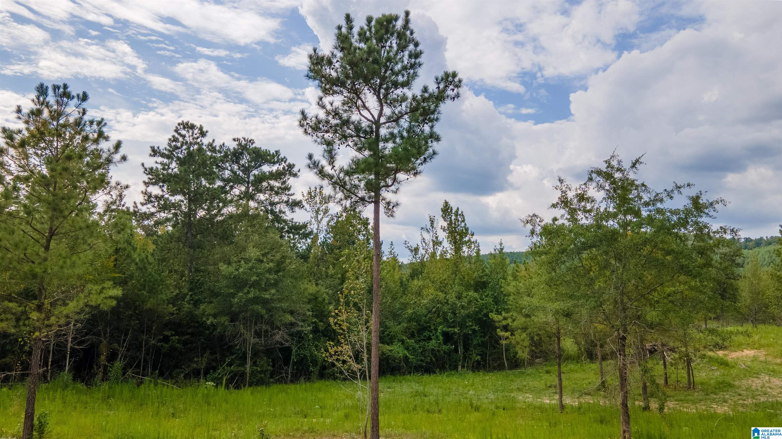 10675 Shoal Creek Road, Unit X Ashville, AL 35953 - Photo 12 of 19