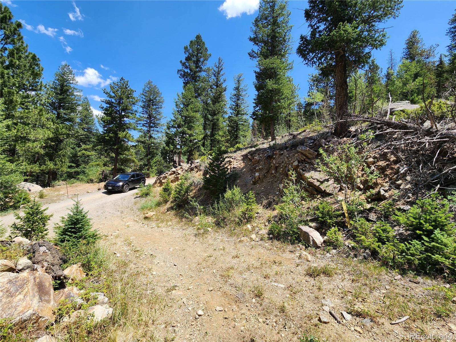 256 Capital Road Dumont, CO 80436 - Photo 17 of 50