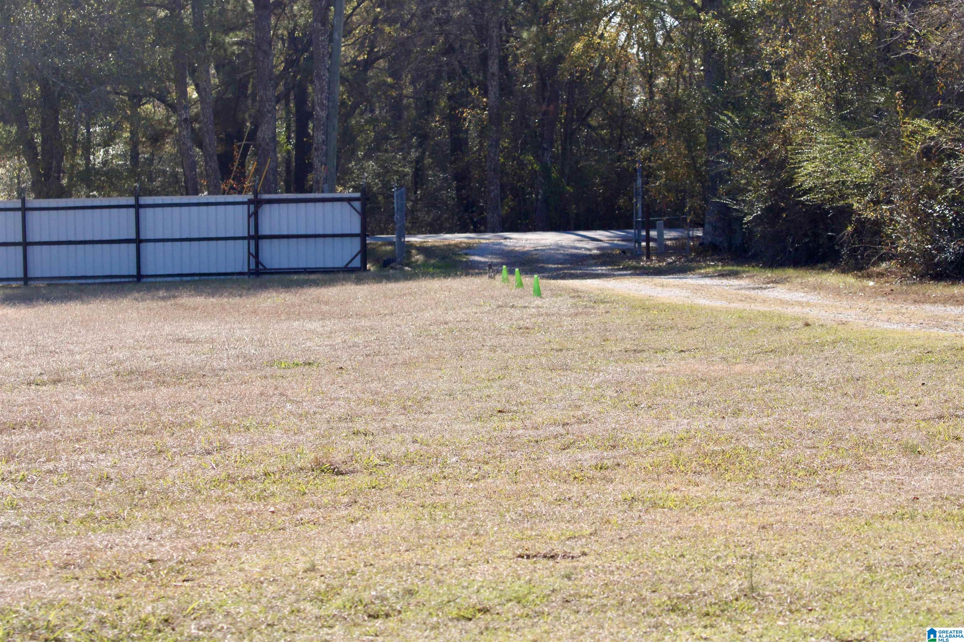 133 Thompson Drive Vincent, AL 35178 - Photo 5 of 23