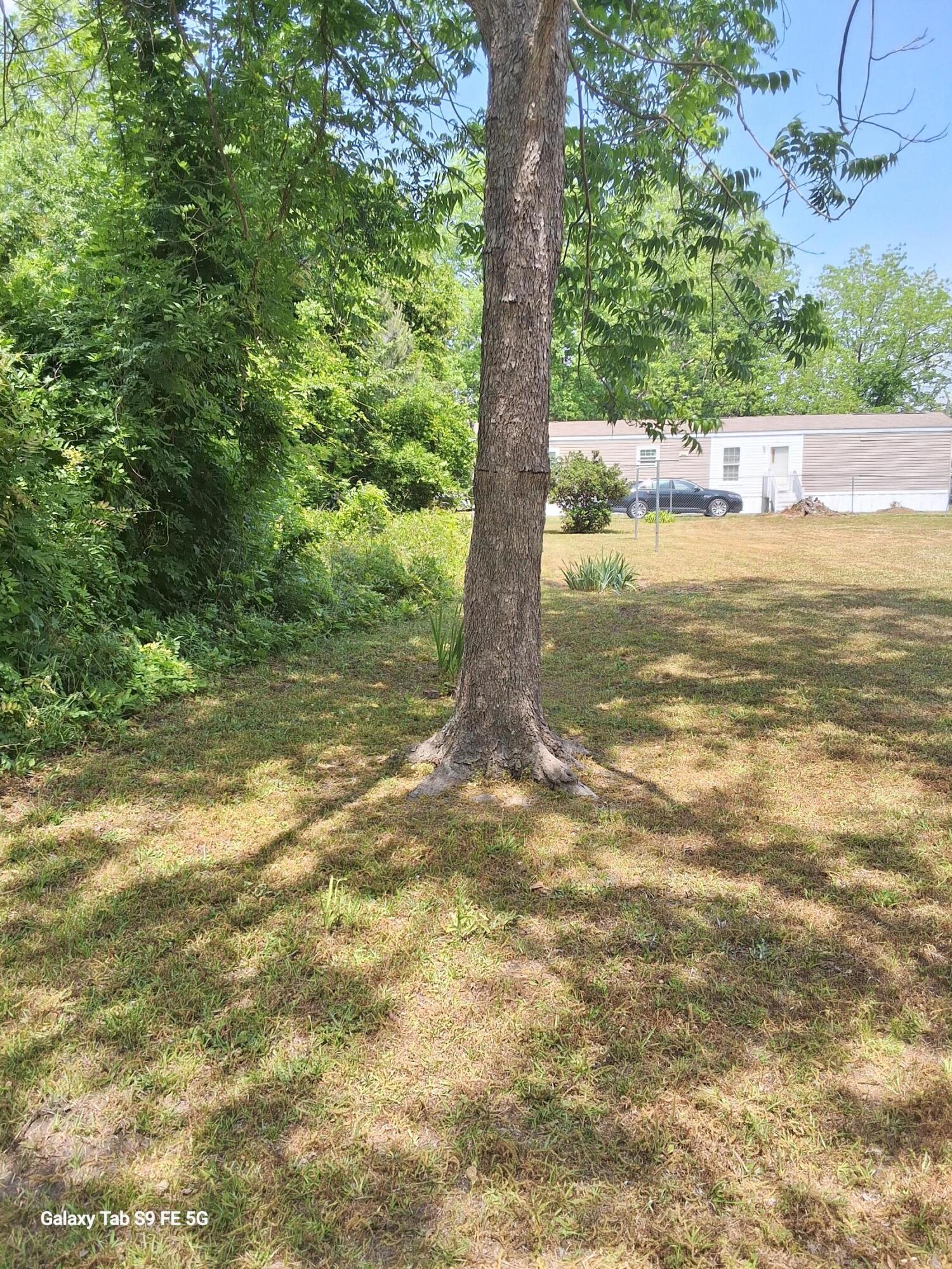 0 Palmetto Road St. Stephen, SC 29479 - Photo 6 of 8