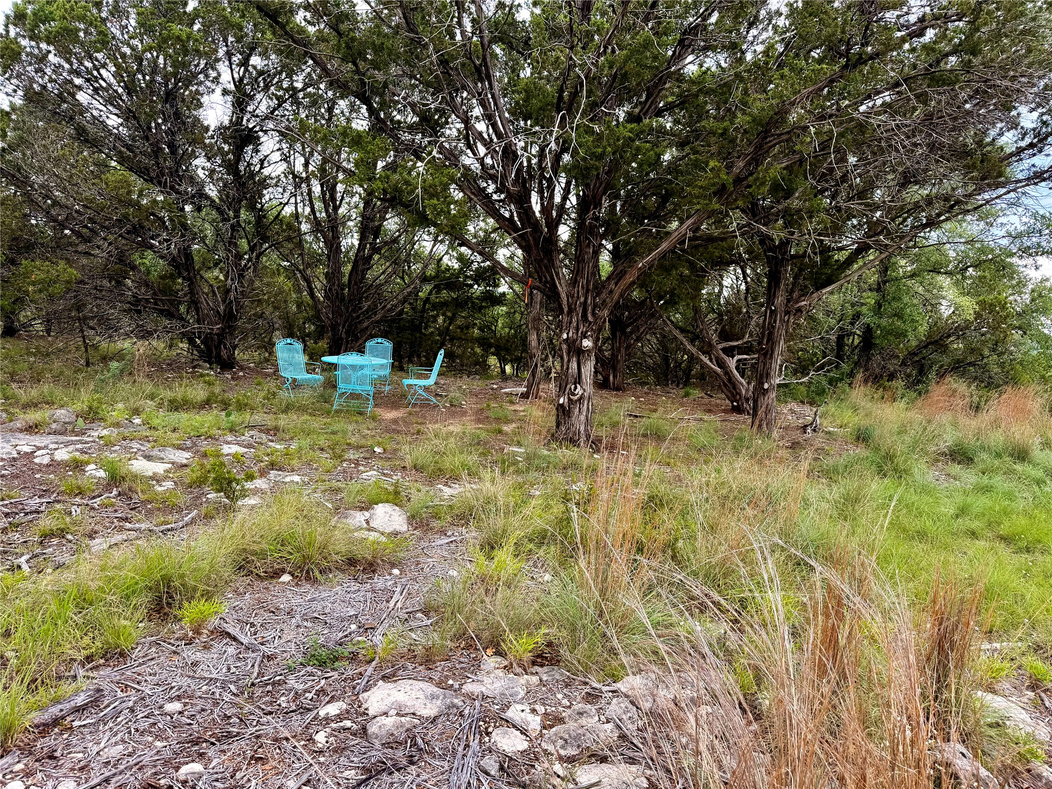 2017 County Road 222 Kempner, TX 76539 - Photo 11 of 16 Wooded property featuring mature trees, natural ground cover, and exposed rock formations