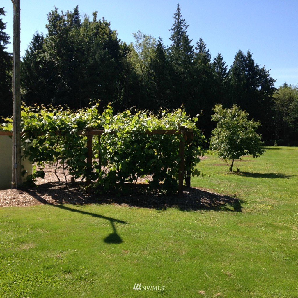 5175 Stromer Road Bellingham, WA 98226 - Photo 22 of 25