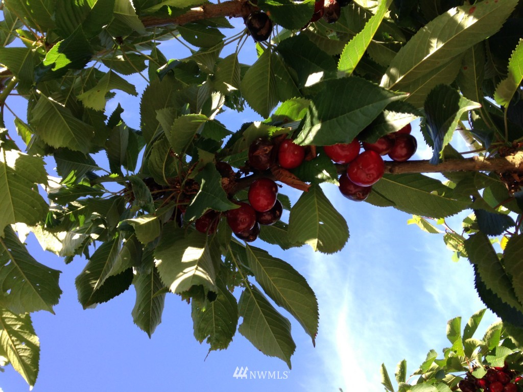 5175 Stromer Road Bellingham, WA 98226 - Photo 24 of 25