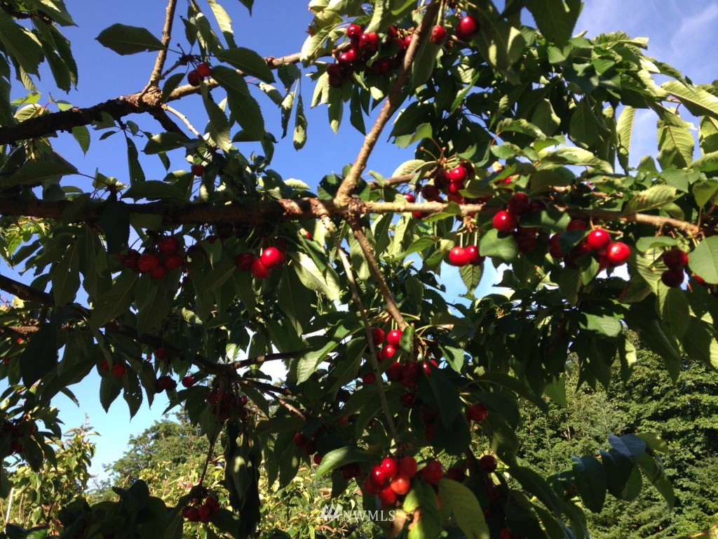 5175 Stromer Road Bellingham, WA 98226 - Photo 25 of 25