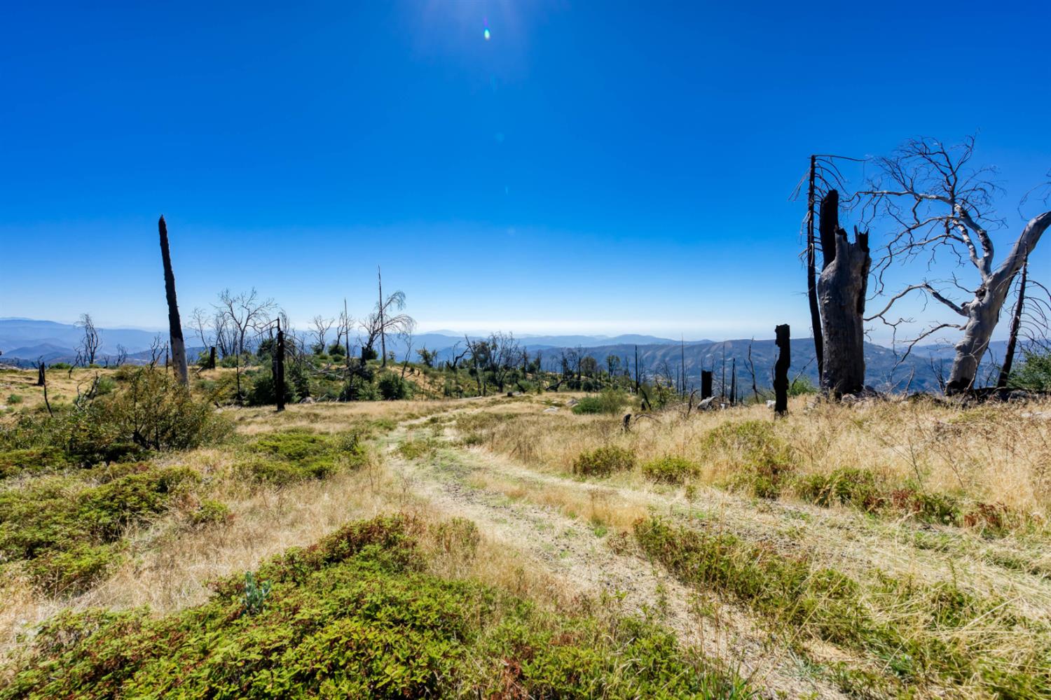 11111 Lower Cressman Road Shaver Lake, CA 93664 - Photo 4 of 23
