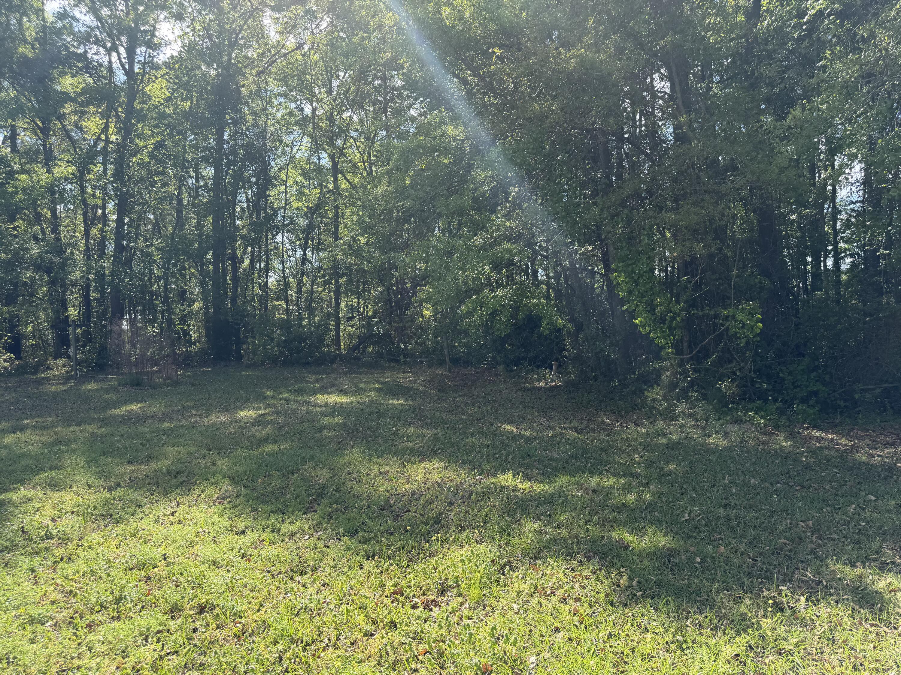 103 Peach Street Denmark, SC 29042 - Photo 4 of 23