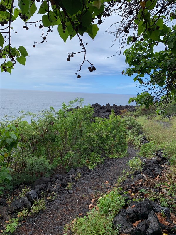 232 Ili Ili Road Captain Cook, HI 96704 - Photo 15 of 17 Gallery Image 15