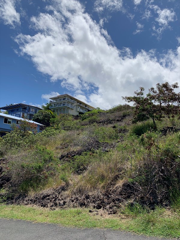 232 Ili Ili Road Captain Cook, HI 96704 - Photo 3 of 17 Gallery Image 3