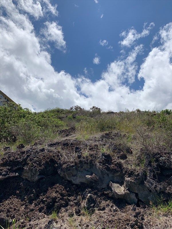 232 Ili Ili Road Captain Cook, HI 96704 - Photo 5 of 17 Gallery Image 5