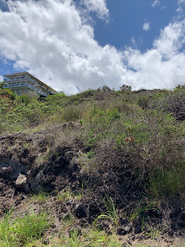 232 Ili Ili Road Captain Cook, HI 96704 - Photo 6 of 17 Gallery Image 6