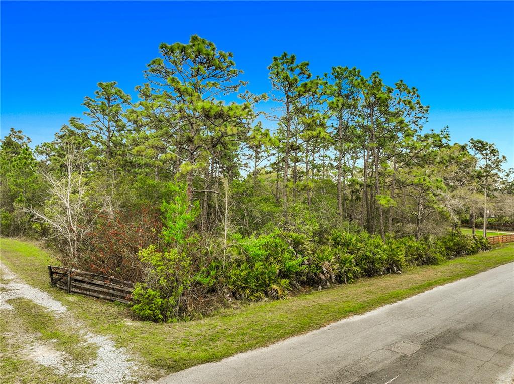 0 Quinlan Street Orlando, FL 32833 - Photo 8 of 25
