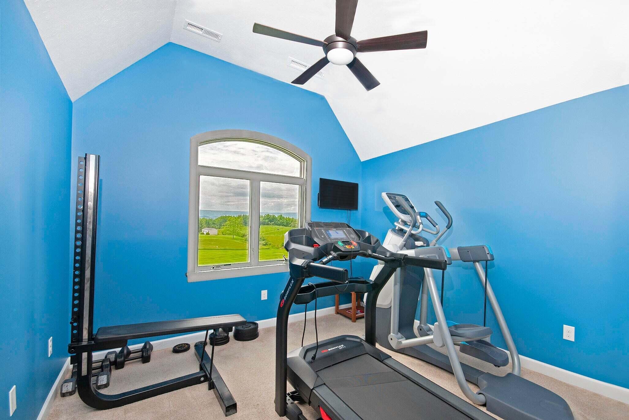 1875 Ridge Road Raphine, VA 24472 - Photo 55 of 72 a view of a room with gym equipment