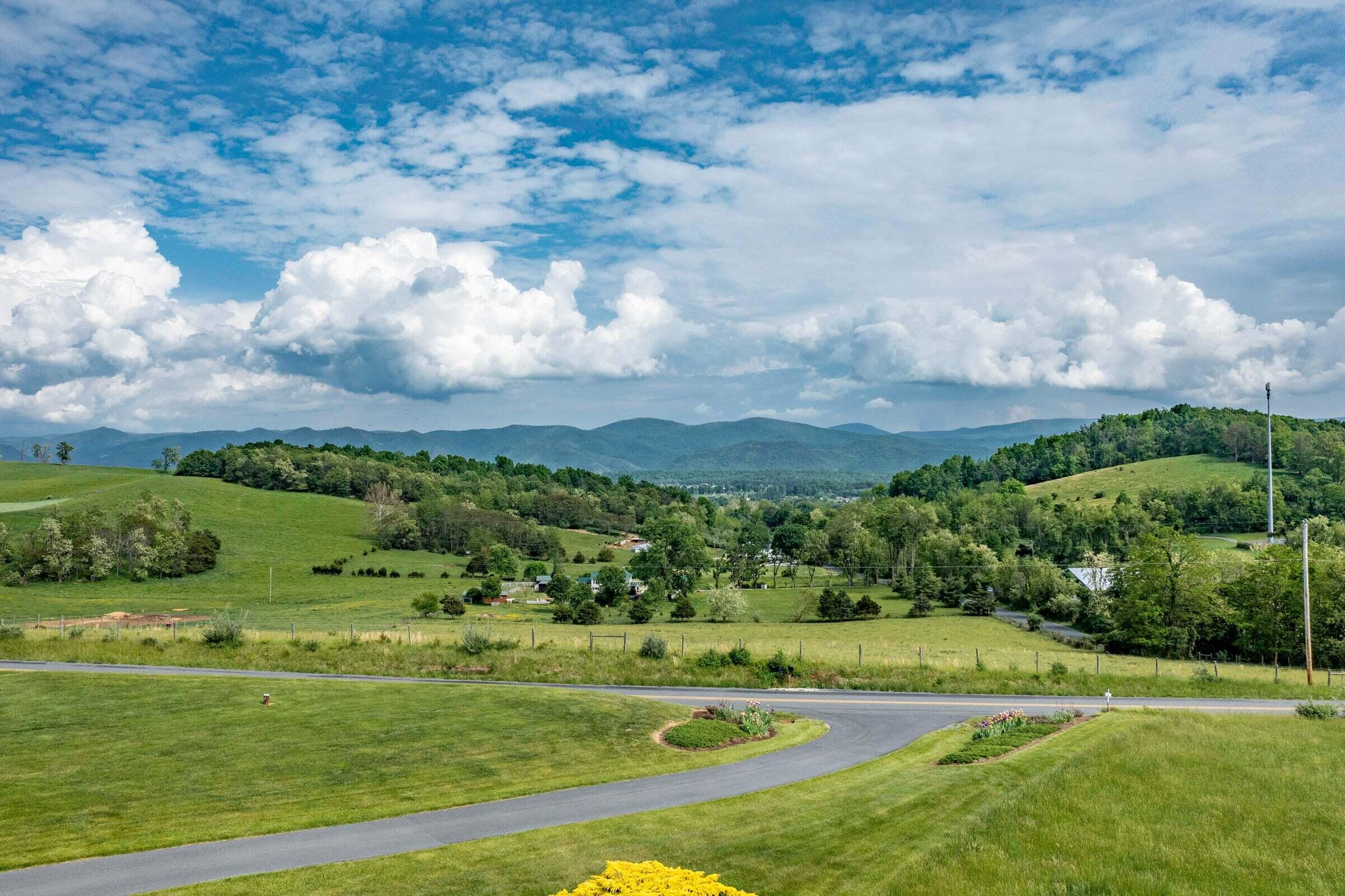 1875 Ridge Road Raphine, VA 24472 - Photo 59 of 72 a view of a grassy field with an trees