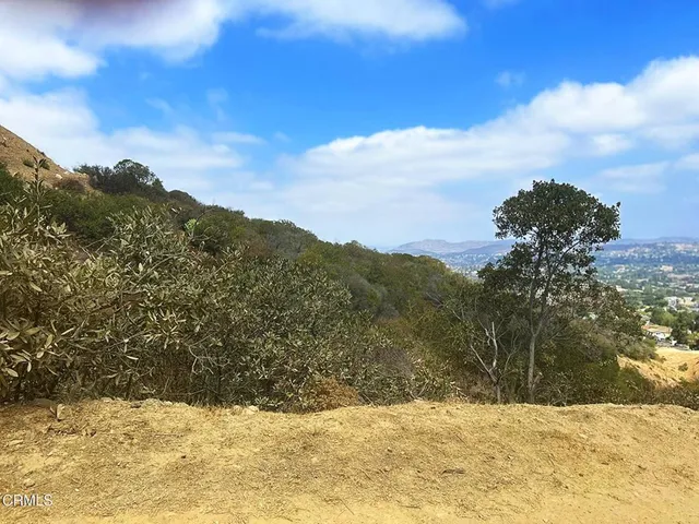 a view of a yard covered with snow