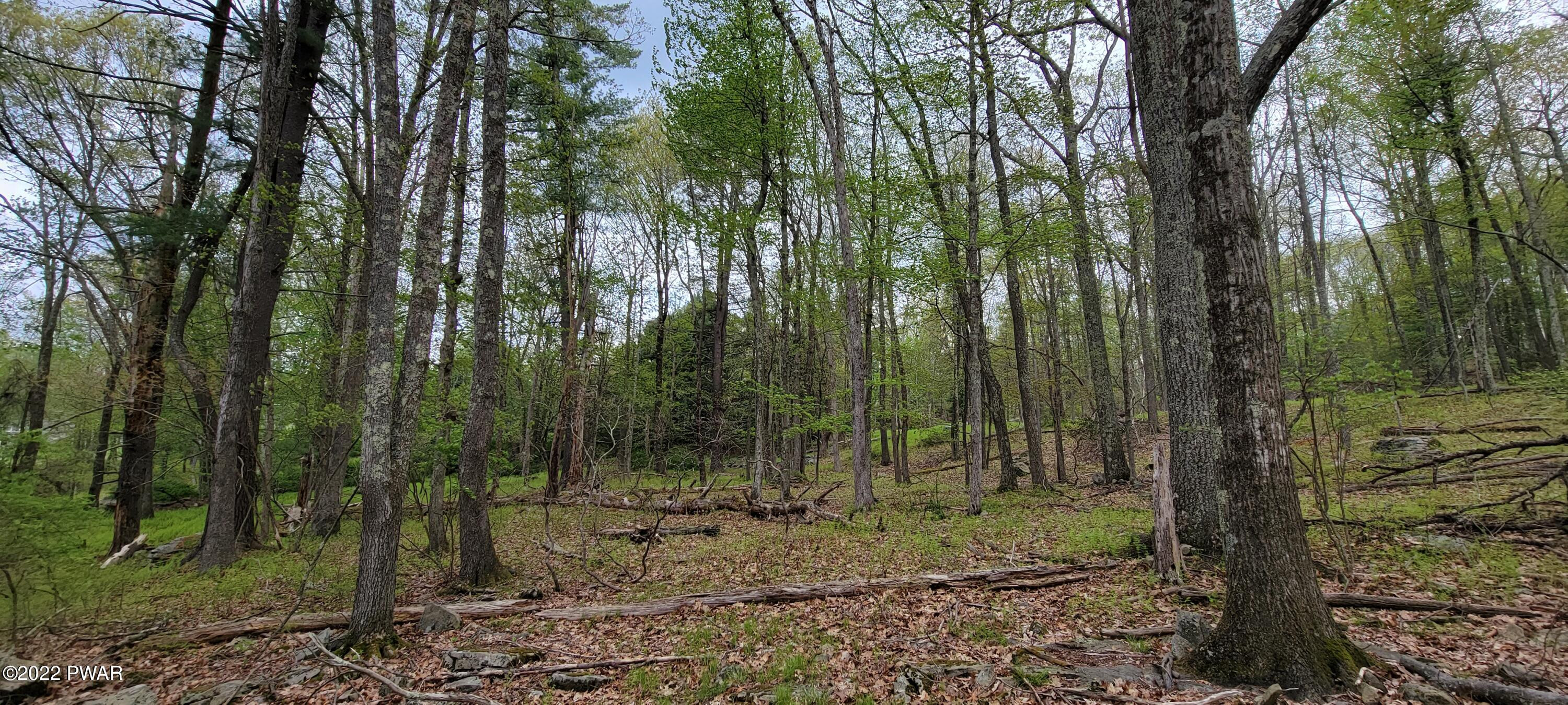 Lot 3 Airport Road Eldred, NY 12732 - Photo 2 of 12