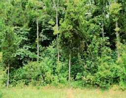 126 Turner Ridge Road, Unit LOT126 Crestwood, KY 40014 - Photo 1 of 1 Primary Photo