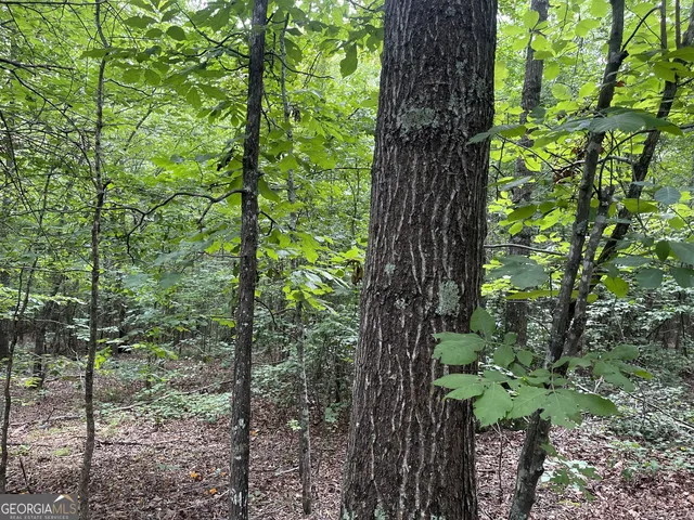 $139,986 | 0 Dowdy Road, Roopville, GA 30170