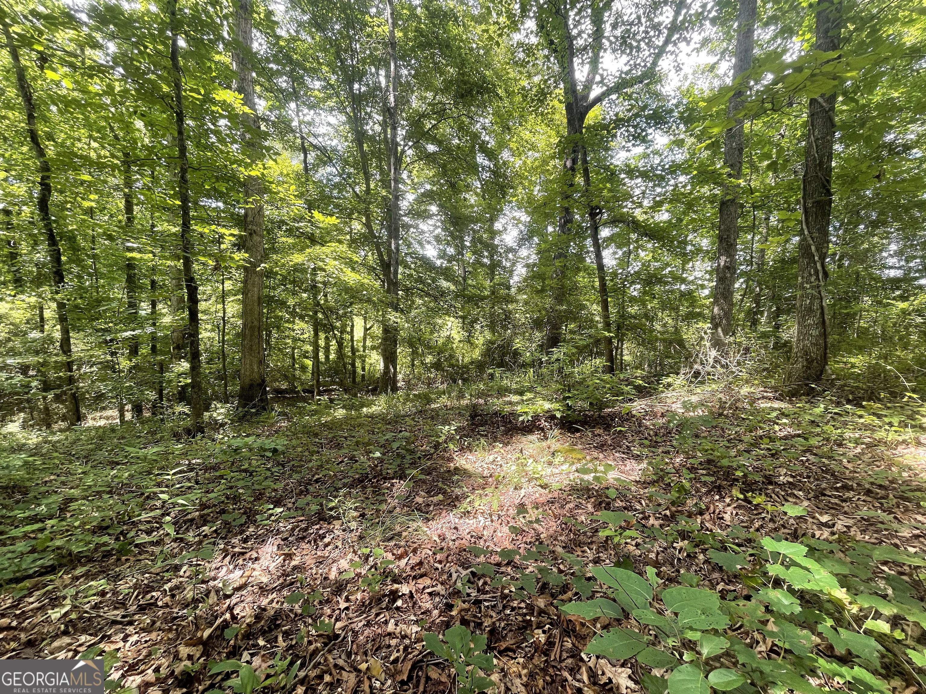 0 Dowdy Road Roopville, GA 30170 - Photo 11 of 13