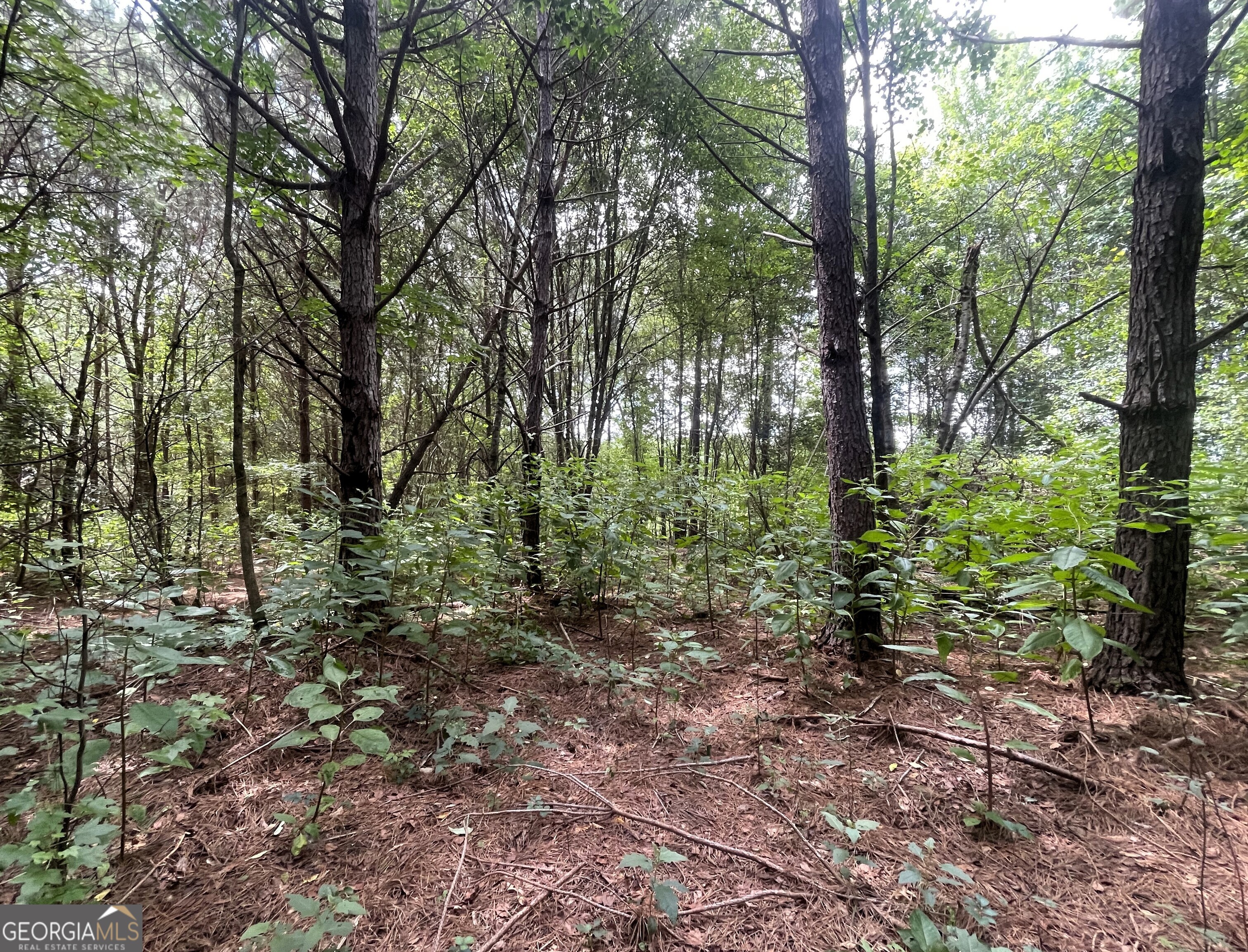 0 Dowdy Road Roopville, GA 30170 - Photo 12 of 13