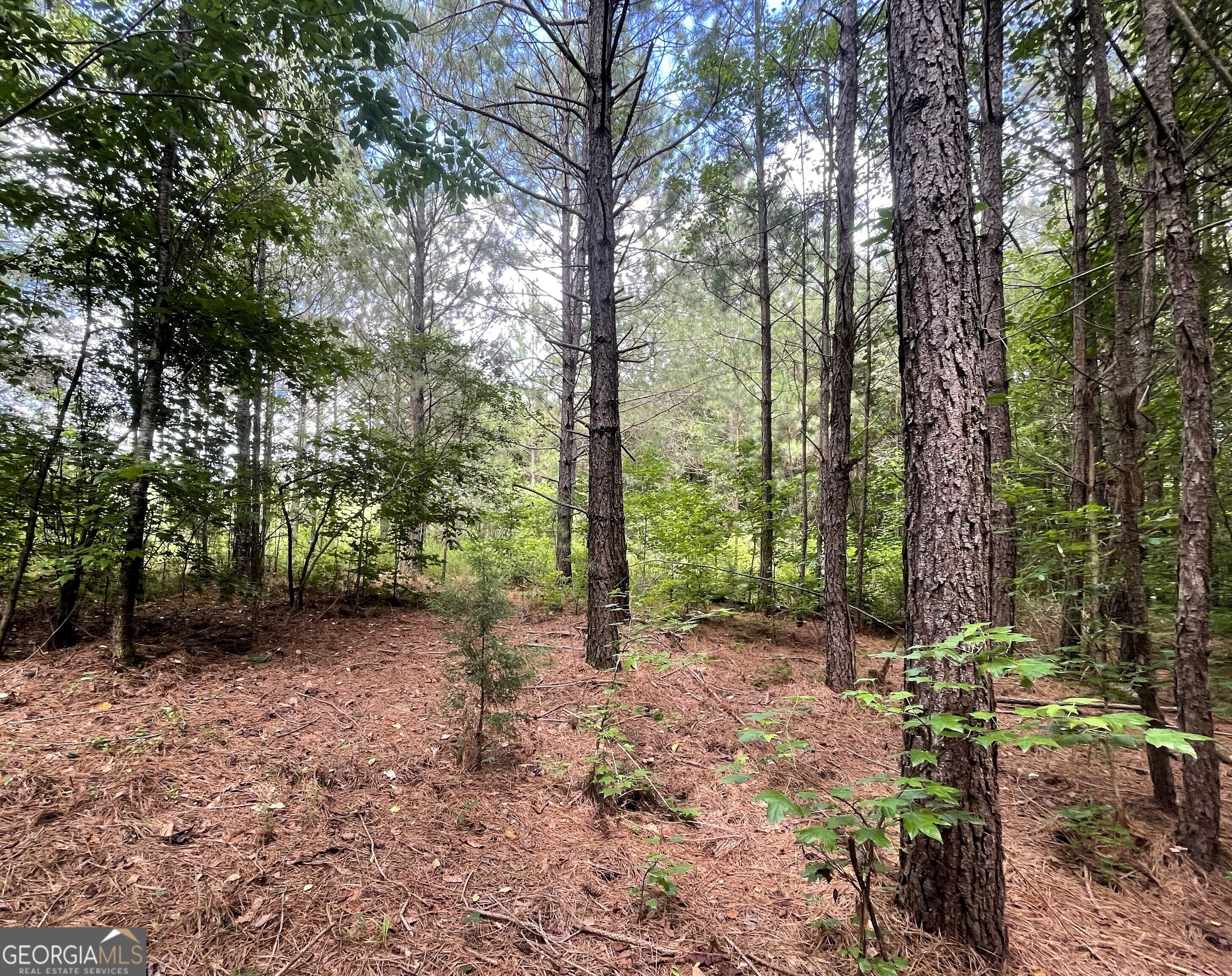 0 Dowdy Road Roopville, GA 30170 - Photo 13 of 13