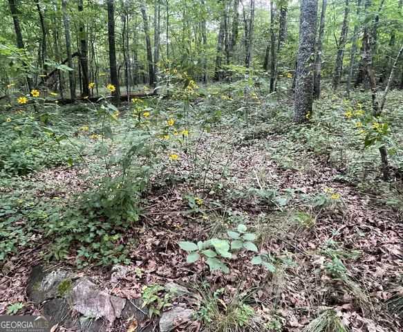 $139,986 | 0 Dowdy Road, Roopville, GA 30170