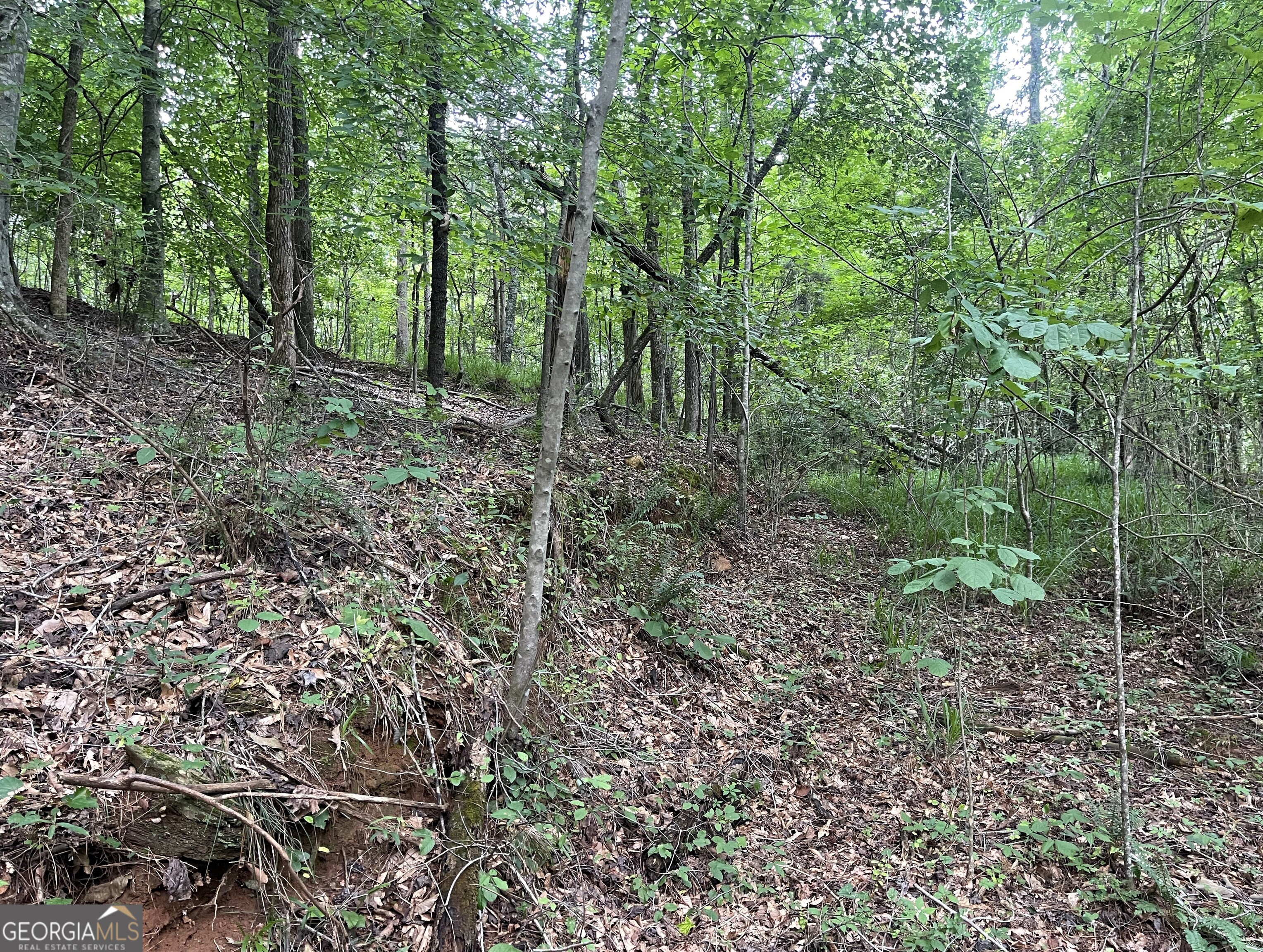 0 Dowdy Road Roopville, GA 30170 - Photo 6 of 13