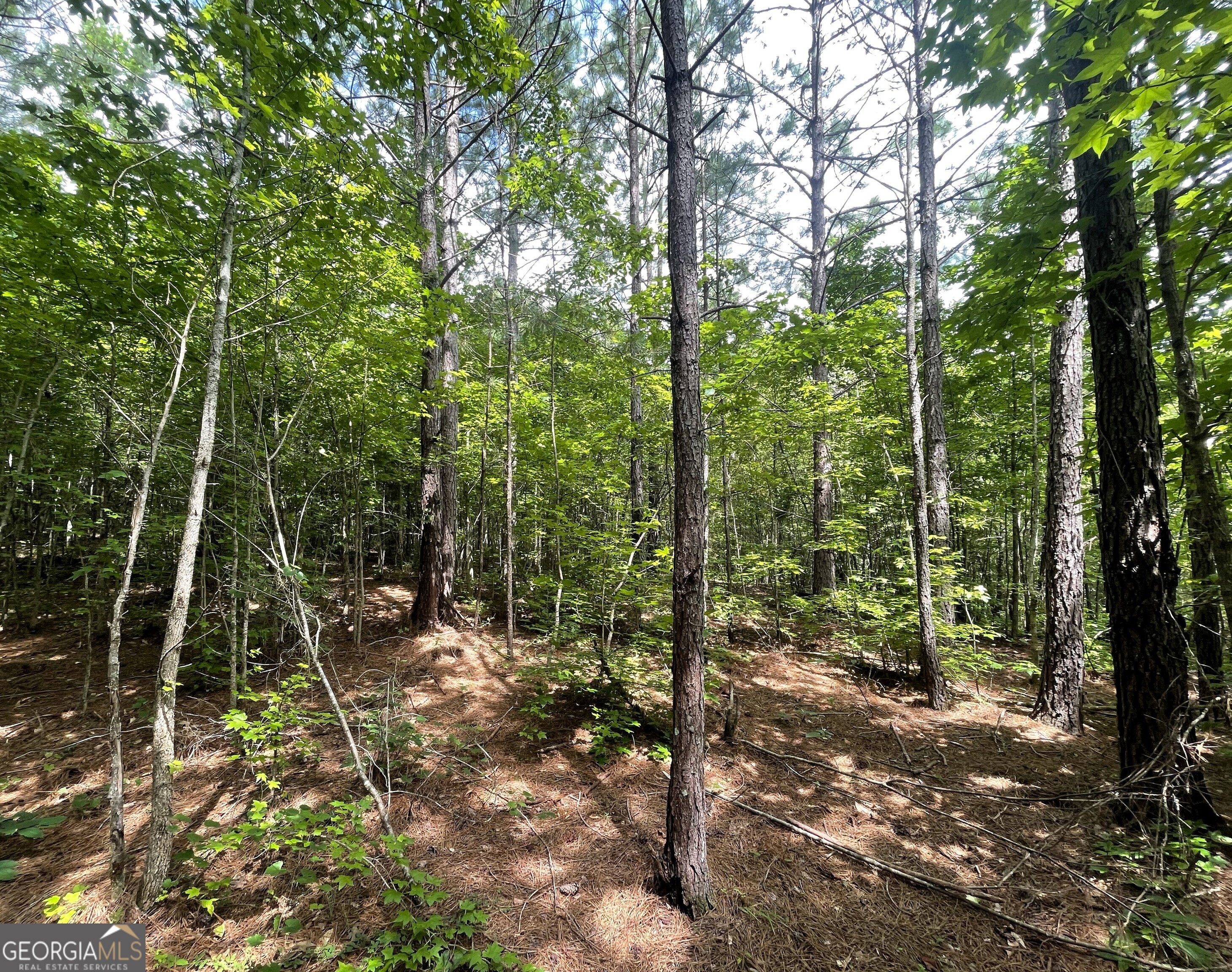 0 Dowdy Road Roopville, GA 30170 - Photo 7 of 13