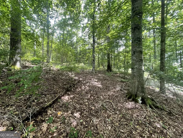 $139,986 | 0 Dowdy Road, Roopville, GA 30170