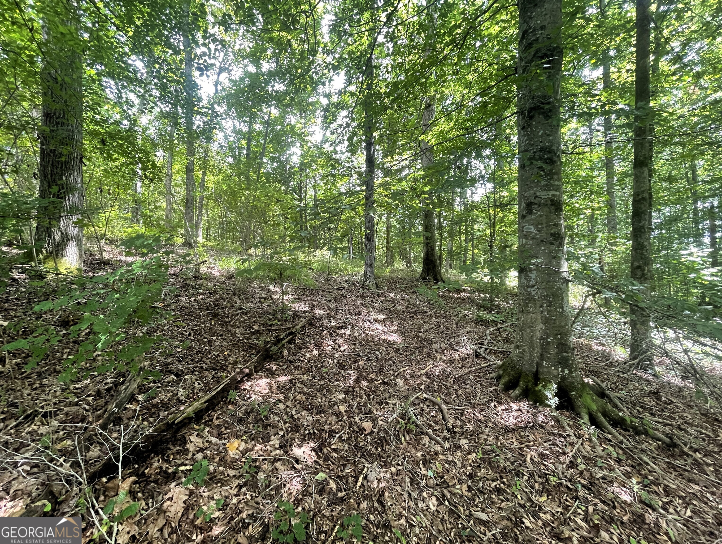 0 Dowdy Road Roopville, GA 30170 - Photo 10 of 13