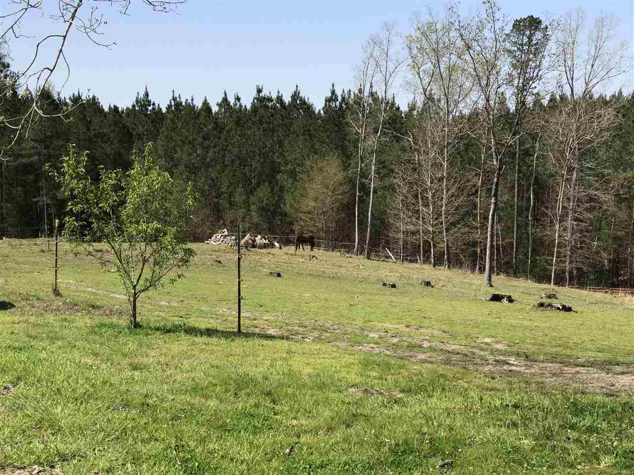 1889 Locke Road Pocahontas, TN 38061 - Photo 15 of 19 Gallery Image 15