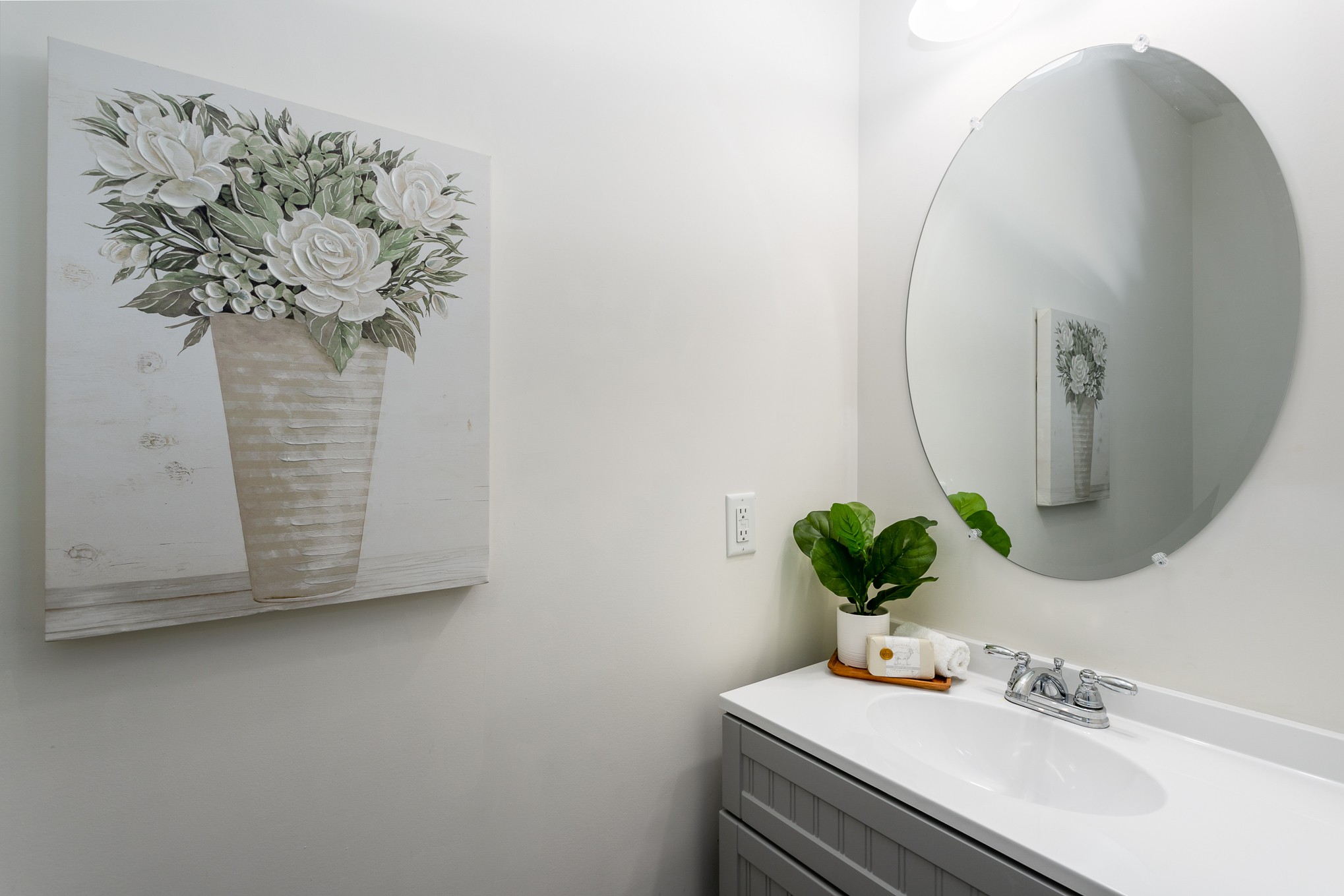 525 Burchell Lane Columbia, TN 38401 - Photo 18 of 35 a bathroom with a sink a mirror and a potted plant