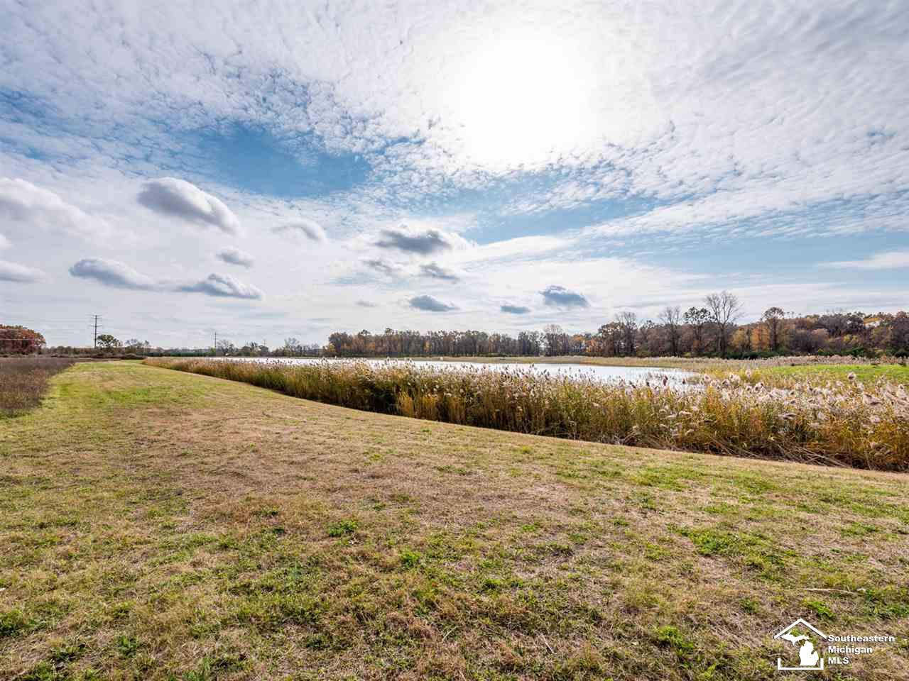 0 Meanwell Road Dundee, MI 48131 - Photo 16 of 19