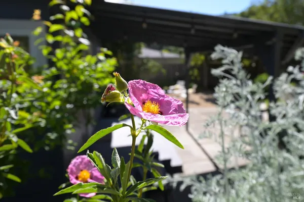 $1,250,000 | 115 Myrtle Avenue, San Rafael, CA 94901