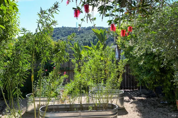 $1,250,000 | 115 Myrtle Avenue, San Rafael, CA 94901