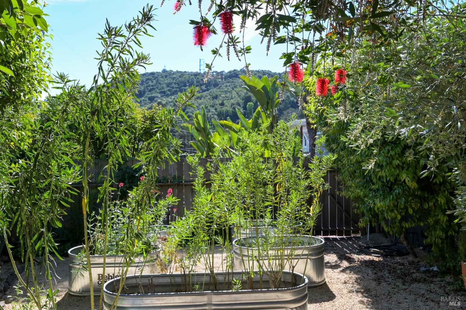 115 Myrtle Avenue San Rafael, CA 94901 - Photo 46 of 48