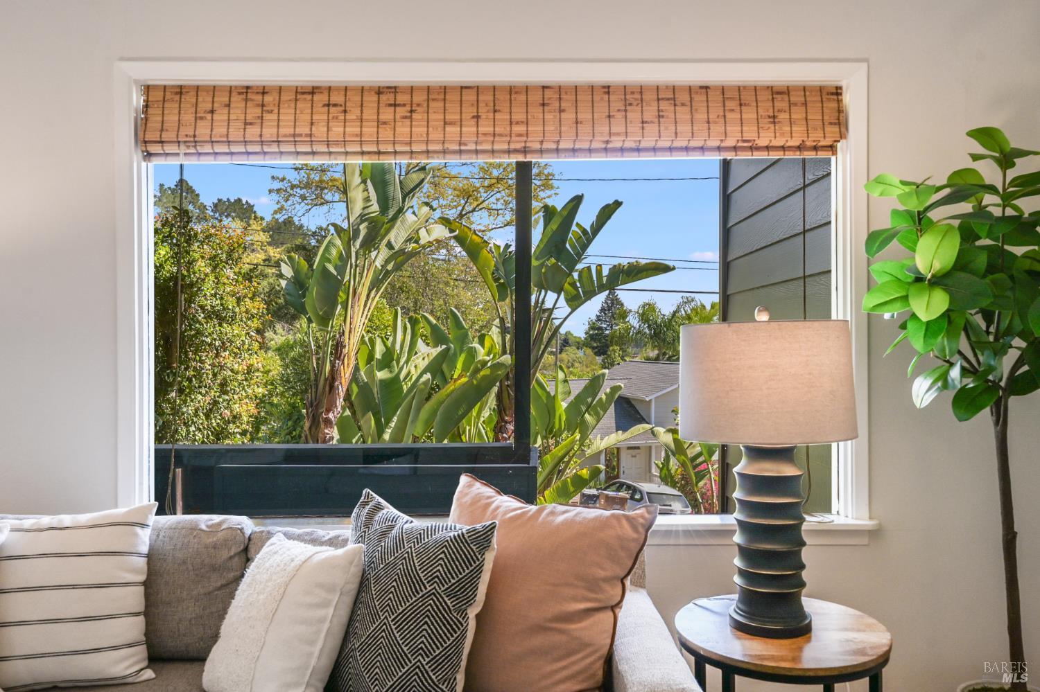 115 Myrtle Avenue San Rafael, CA 94901 - Photo 8 of 48