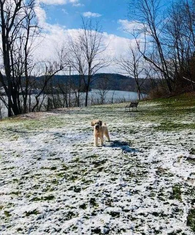 $99,900 | 107 Center Street, Millsboro, PA 15348