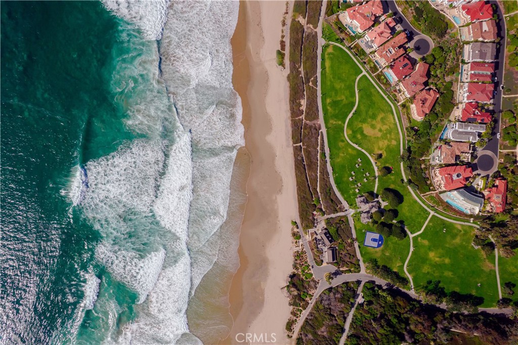 33852 Orilla Road Dana Point, CA 92629 - Photo 45 of 49 a bird view of flowers