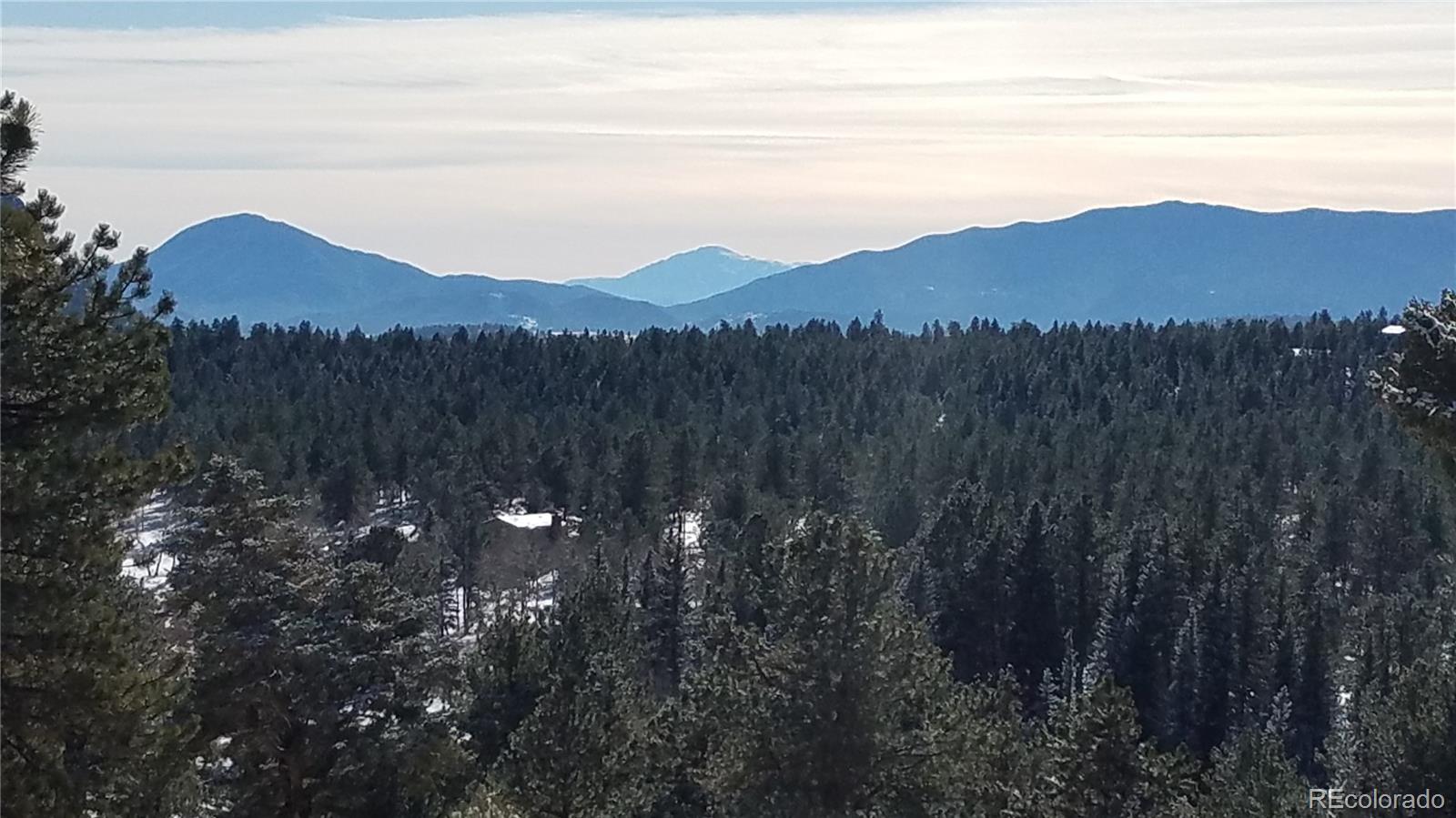 67 Hold Up Street Bailey, CO 80421 - Photo 13 of 25 a view of houses with a mountain and a forest
