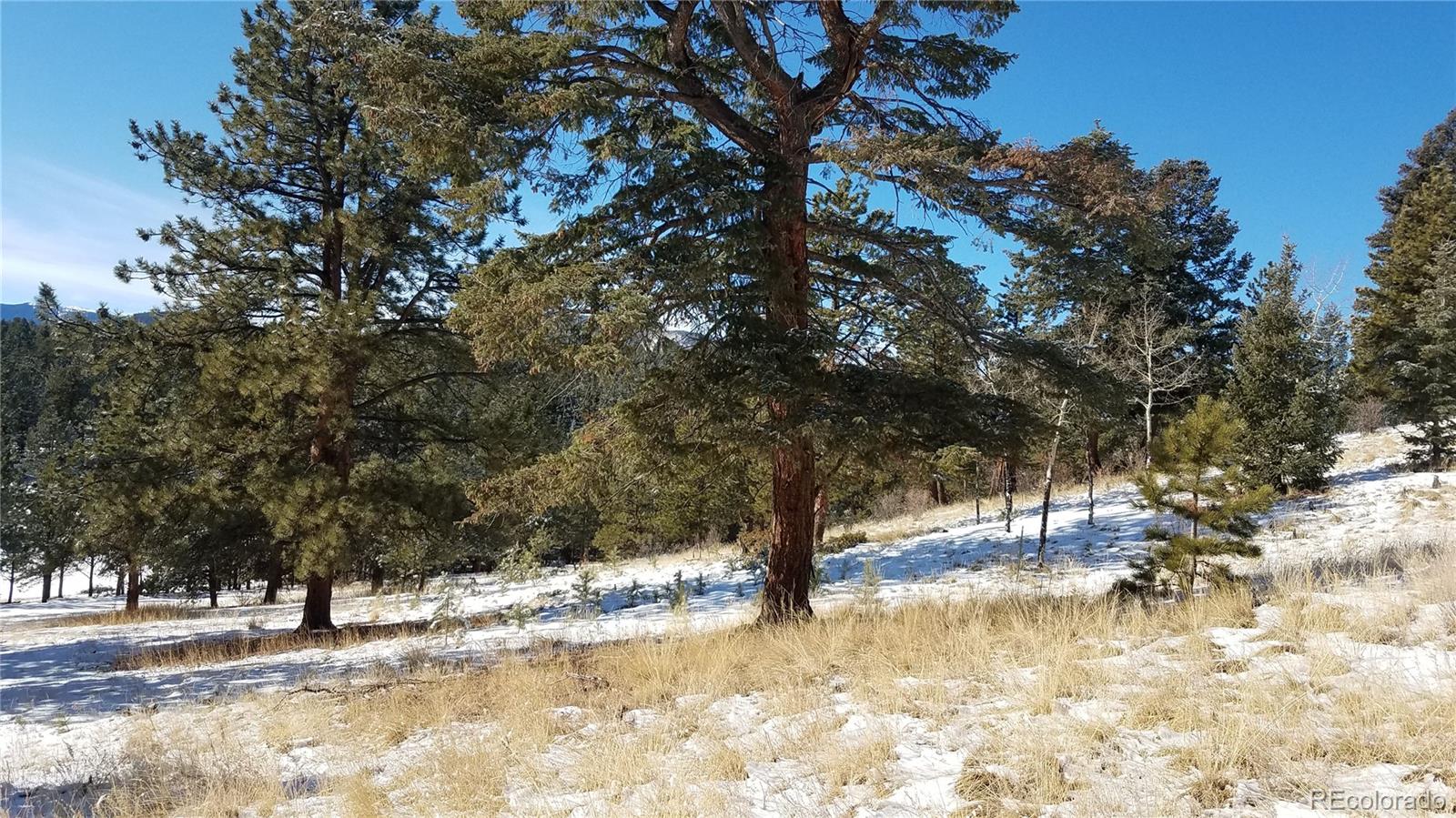 67 Hold Up Street Bailey, CO 80421 - Photo 14 of 25 a view of a snow on the middle of a yard