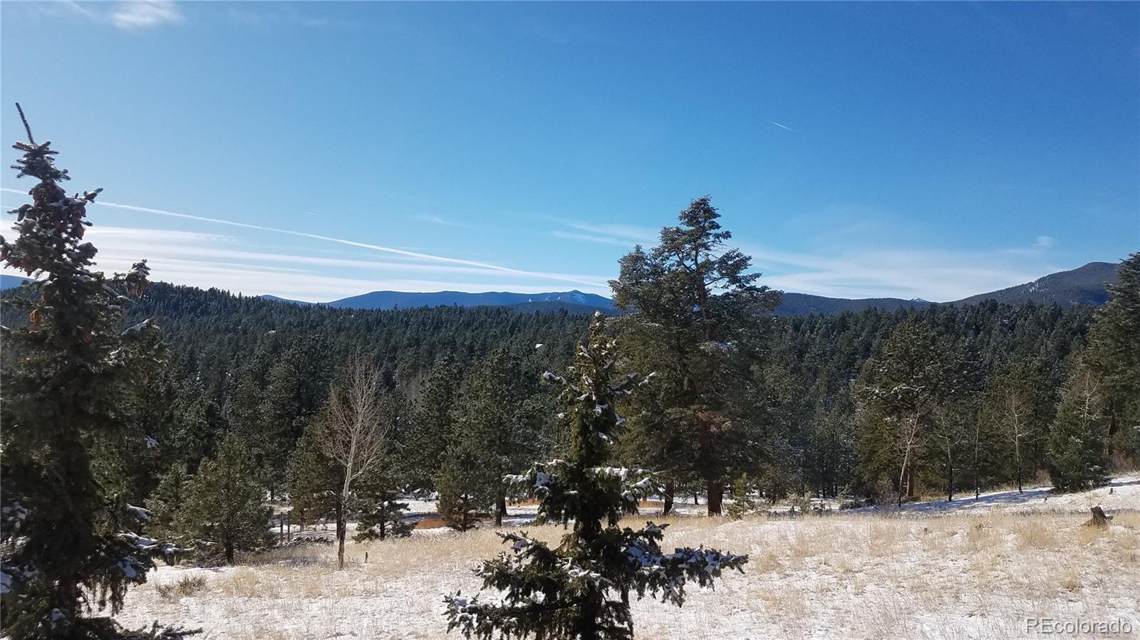 67 Hold Up Street Bailey, CO 80421 - Photo 10 of 25 a view of a covered with snow in the background