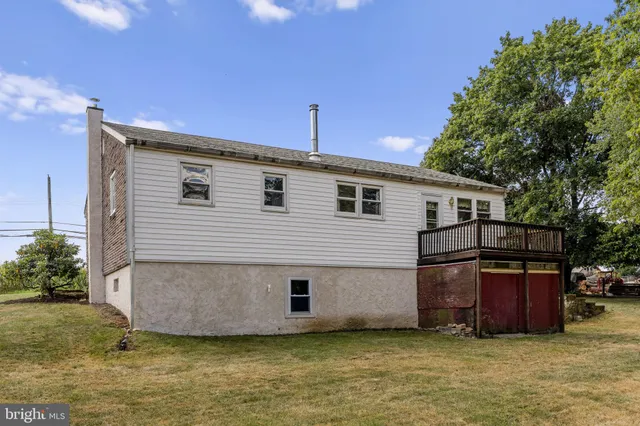 a view of a backyard with plants and a tree