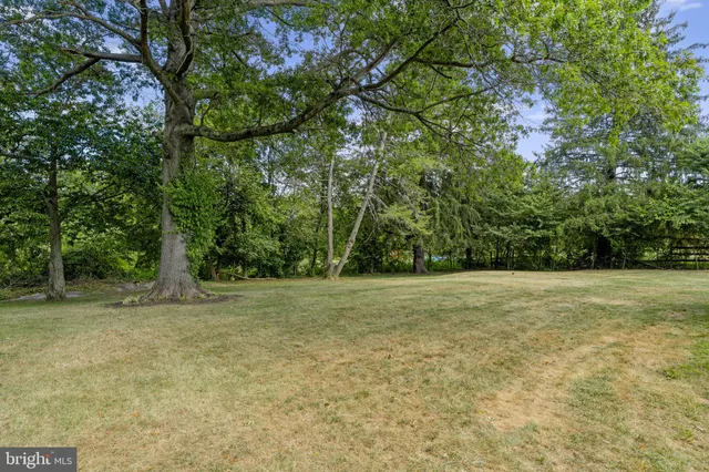 a view of a field with trees