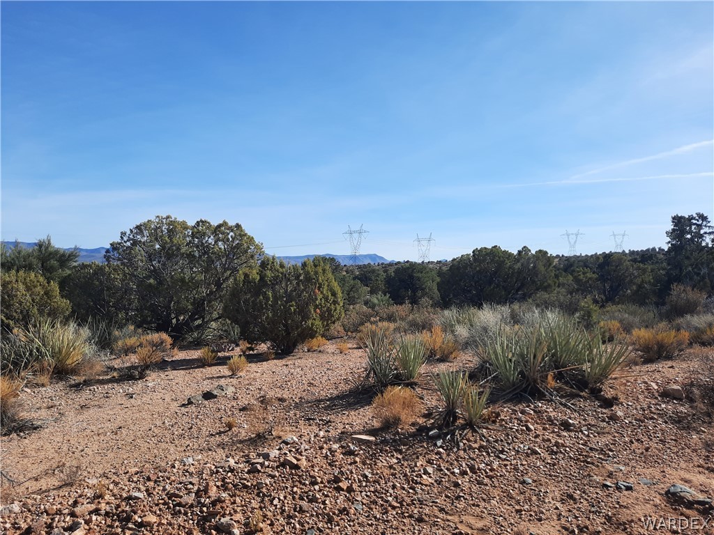 83 North Frerichs Ranch Road Hackberry, AZ 86411 - Photo 11 of 17