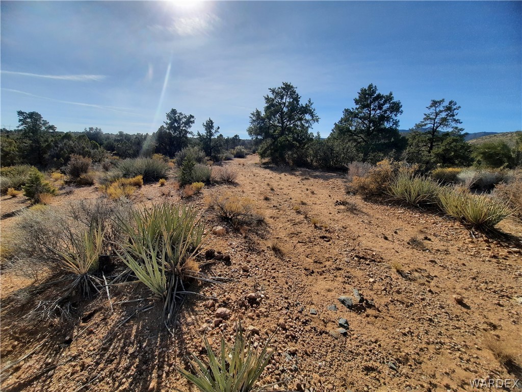 83 North Frerichs Ranch Road Hackberry, AZ 86411 - Photo 12 of 17