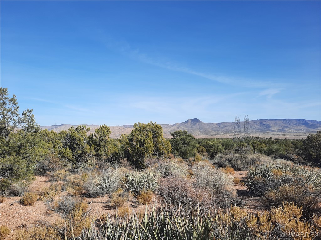 83 North Frerichs Ranch Road Hackberry, AZ 86411 - Photo 4 of 17