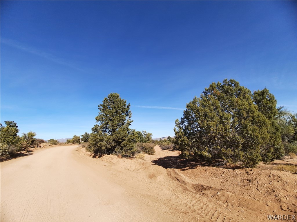 83 North Frerichs Ranch Road Hackberry, AZ 86411 - Photo 5 of 17