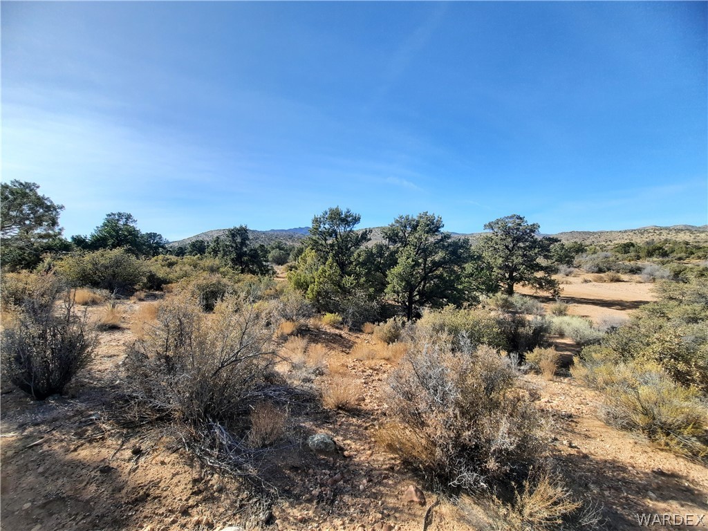83 North Frerichs Ranch Road Hackberry, AZ 86411 - Photo 7 of 17