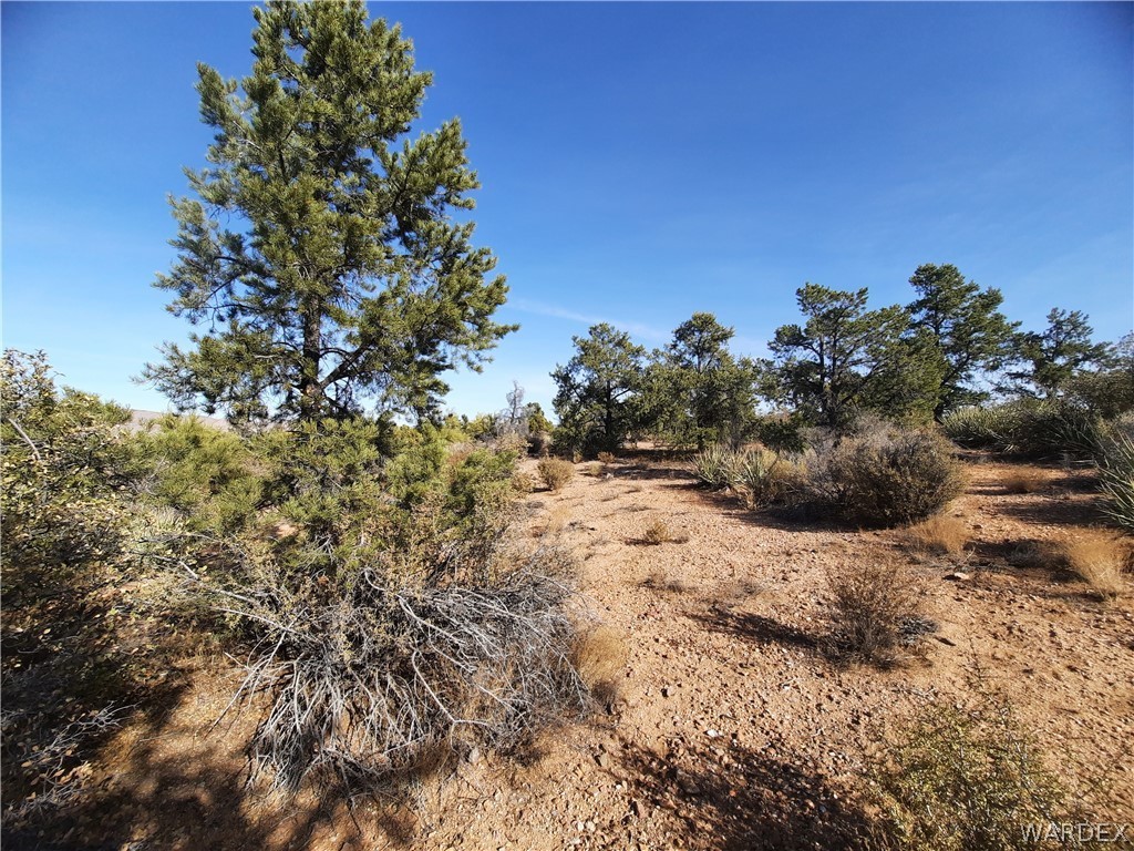 83 North Frerichs Ranch Road Hackberry, AZ 86411 - Photo 8 of 17